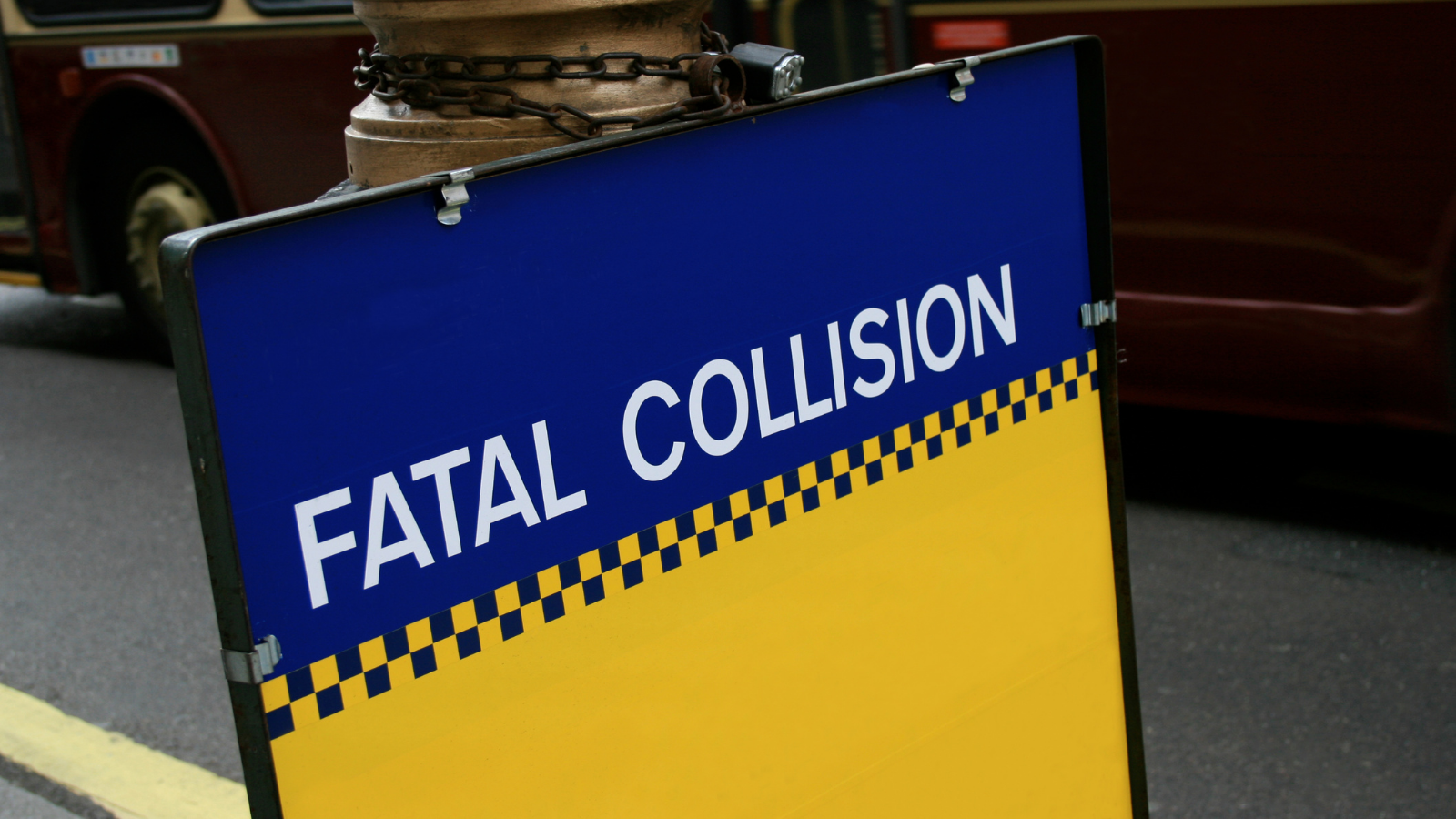 Generico Leo - 2024-11-15T110831.747 Generico