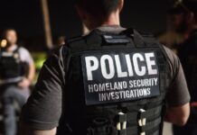 Arrestan en California a Mauricio Quintanilla, fugitivo con seis órdenes de aprehensión en México Agente especial de Operaciones de Seguridad Nacional (HSI) ayuda a los oficiales asignados a la Oficina de Campo de Miami de USICE el 22 de marzo del 2018 - ICE