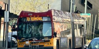 Bus