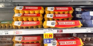 Crisis del huevo en estados unidos: un análisis de precios y consumo Huevos