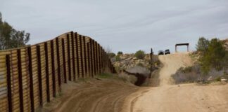 Tom Homan: estrategias migratorias, seguridad fronteriza y detenciones Frontera