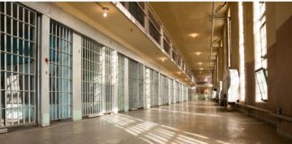 Patrones de negligencia en la respuesta del TPD a denuncias en centro de detención de ICE Carcel