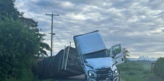 Más de 14 millones de abejas escapan tras accidente de camión en el condado Whatcom Estado del camión luego del accidente