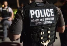 Republicanos avanzan plan para financiar al DHS sin apoyo demócrata Agentes de ICE llevando a cabo un operativo