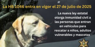 Nueva ley en WA ofrece inmunidad a quien rescate niños o mascotas de autos cerrados Foto: Traducción de la publicación de la oficina del sheriff - Cortesía de la oficina del sheriff del condado de Grant