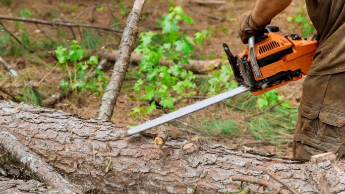 General Leo 2 - 2025-06-24T100507.921