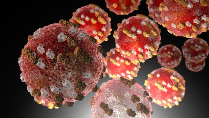 General Leo 2 - 2025-06-26T093743.916