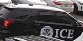 Advierten sobre falsos agentes de ICE que agreden y roban a inmigrantes Foto: Vehículo de un individuo que fue arrestado en Fife, WA, por hacerse pasar por agente de ICE - Cortesía del departamento de policía de Fife