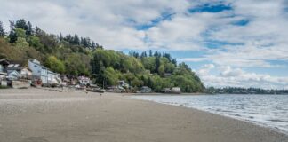 El hallazgo de un dedo del pie en una playa de Federal Way desata investigación policial Dash Point