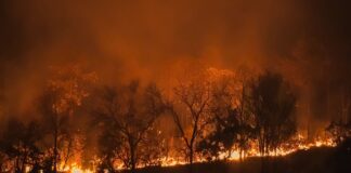 El incendio Hope se expande a 7.000 acres en el noreste de Washington
