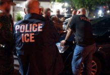 Denuncian que ICE gastó $800,000 en vehículos para espiar teléfonos Foto: Miembros del equipo de respuesta especial y de operaciones de deportación y control de inmigración, durante un operativo - ICE
