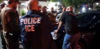 Campaña de reclutamiento de ICE dirigida a policías de Seattle genera polémica Foto: Miembros del equipo de respuesta especial y de operaciones de deportación y control de inmigración, durante un operativo - ICE