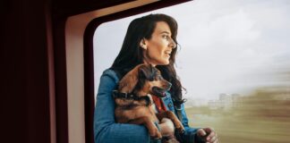 Sound Transit permitirá perros en trenes y autobuses del área de Seattle