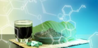 La FDA refuerza controles contra un opioide presente en productos de kratom Foto: Kratom - Cortesía de la FDA