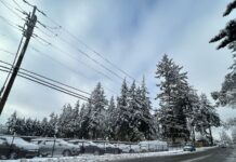 El impacto de La Niña: ¿Cómo afectará el invierno al estado de Washington? Calle con nieve en los alrededores, autos estacionados cubiertos de nieve, árboles altos con ramas nevadas y cables eléctricos visibles bajo un cielo nublado.