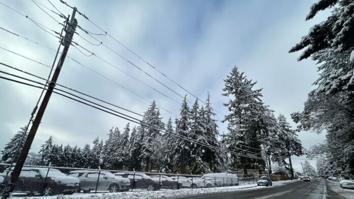 Calle nevada con autos y árboles cubiertos de nieve en Lynnwood Calle con nieve en los alrededores, autos estacionados cubiertos de nieve, árboles altos con ramas nevadas y cables eléctricos visibles bajo un cielo nublado.