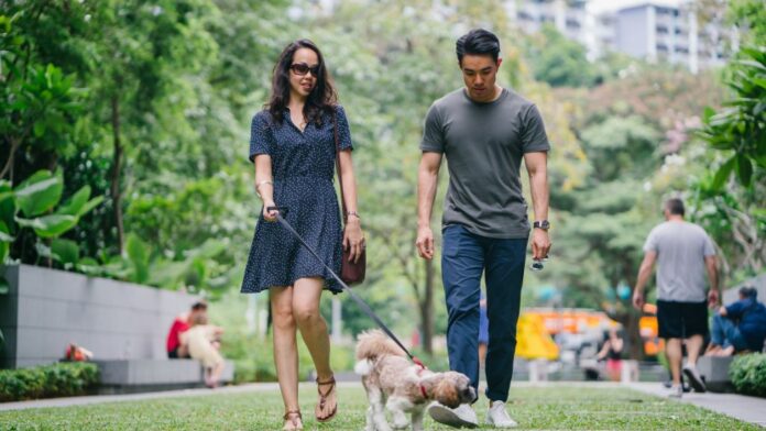 22 GENERAL -3 Pareja joven paseando con su perro en un parque, ilustrando la caída de la tasa de natalidad en Estados Unidos