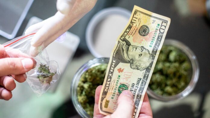 Cannabis Business in USA