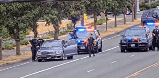Policía arresta a conductor por DUI tras persecución en Seattle Foto: Momento en el que los agentes realizan el arresto del sospechoso de DUI- Cortesía del SPD