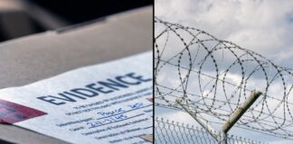 Arrestan a pareja de Bellingham por caso de explotación sexual infantil