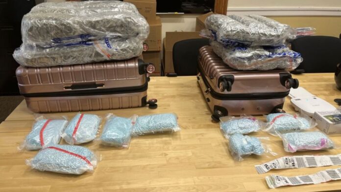 Foto: Drogra incautada durante la operación “Summer Heat” - Cortesía del Departamento de Justicia