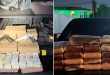 DEA anuncia más de 600 arrestos en operativo contra el Cártel de Sinaloa Foto: Drogas, dinero y armas incautadas en el operativo contra el Cártel de Sinaloa - Cortesía de la DEA
