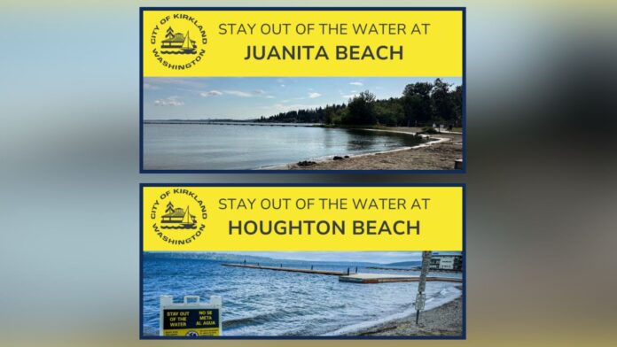 Foto: carteles que indican que está prohibido entrar en el agua, emitidos por la ciudad de Kirkland - Cortesía del gobierno de Kirkland. Foto: carteles que indican que está prohibido entrar en el agua, emitidos por la ciudad de Kirkland - Cortesía del gobierno de Kirkland.