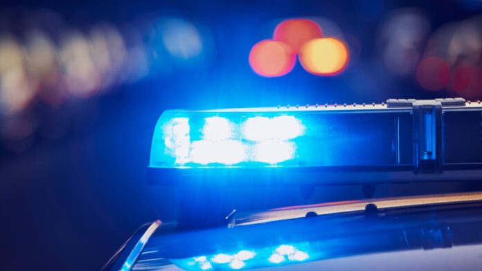 General Leo 2 - 2025-09-15T115122.457