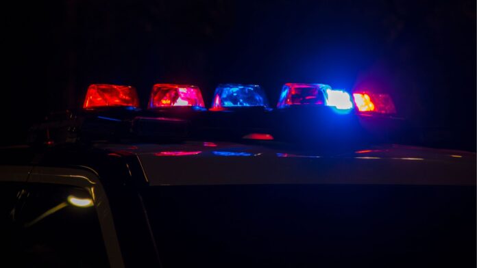 General Leo 2 - 2025-09-19T132045.745