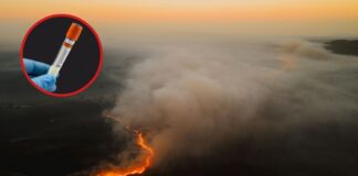 Estudio de UW vincula humo de incendios forestales a problemas de fertilidad masculina