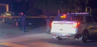 Dos personas mueren en tiroteo en una vivienda del condado Pierce Foto: Captura de pantalla del video pub licado por las autoridades donde se ve el área donde sucedieron los hechos - Cortesía de la oficina del Sheriff del condado de Pierce