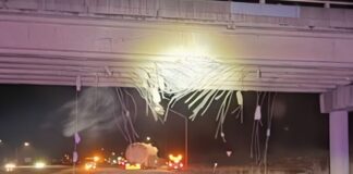 Vuelve a suceder: Cierre vial en la I-90 por choque de camión contra paso elevado Foto: Estado del paso elevado luego de que el camión impactara con el - Cortesía de la WSP