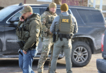Alcalde y jefe de policía de Lynnwood animan a reportar actividades sospechosas al 911 Foto: Agentes del Servicio de Inmigración y Control de Aduanas realizando un operativo de detenciones - Cortesía de ICE