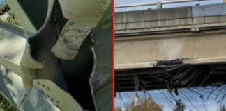 Buscan aprobar la ‘Ley del Conductor Estúpido’ por los recientes choques en puentes de WA Foto: De derecha a izquierda, daños en el puente White River Bridge y los daños en el paso elevado de la I-90 - Cortesía del WSDOT y el gobernador del estado de Washington
