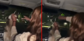 Indignación en Chihuahua por video de jóvenes que forzaron a una perrita a beber alcohol Foto: Capture del video donde se observa a una persona obligando a una perra a consumir alcohol