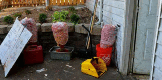 Imágenes revelan la realidad de los vendedores ambulantes sin permiso Foto: Carne almacenada a la intemperie y sin refrigeración - Cortesía del departamento de salud de Tacoma-condado de Pierce