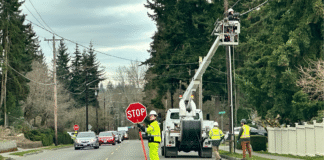 Washington: líder económico pero con altos niveles de estrés laboral Foto Latino Herald - Trabajadores reparando cables eléctricos en una calle de Lynnwood, WA
