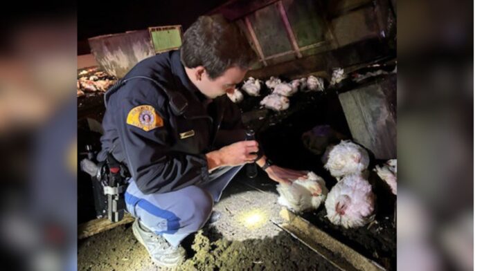 Foto: Agente verificando el estado de la aves - Cortesía del agente Kameron Watts de la patrulla estatal de Washington
