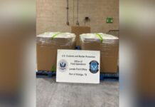 Incautan media tonelada de metanfetamina oculta en lechugas, proveniente de México Foto: Cargamento que contenían 1.153 libras de metanfetamina incautado por oficiales de CBP en el Puente Internacional colindante con la ciudad de Reynosa, en el estado de Tamaulipas - Cortesía de CBP