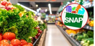 Recorte de SNAP afecta a algunos inmigrantes: esto es lo que está haciendo WA