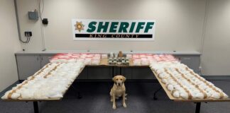 Fiscalía acusa a hombre de Lynnwood por tráfico de drogas vinculado al Cártel de Sinaloa Mesa de evidencias del King County Sheriff’s Office con paquetes de metanfetamina, dinero en efectivo incautado y un perro policía durante el operativo Operation Eastbound and Down en Washington