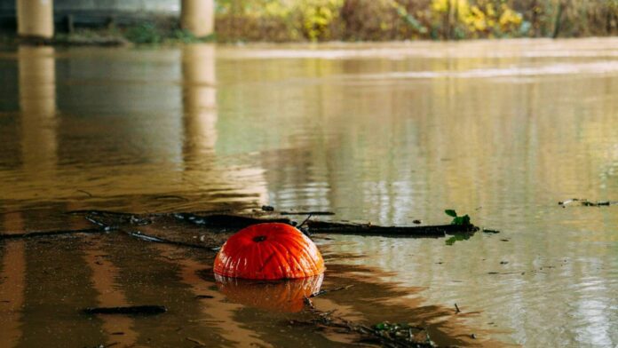 22 GENERAL (2) Foto: Área de la ciudad de Kent, WA afectada por las inundaciones - Cortesía del gobierno de Kent