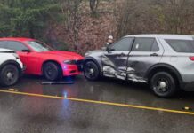 Sospechoso roba patrulla de WSP tras empujar a una oficial Final de una persecución que comenzó en la autopista 5 dirección norte a la altura de la calle 85.