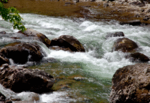 Alerta de inundación en la región del Puget Sound ante la llegada de un río atmosférico