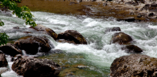 Alerta de inundación en la región del Puget Sound ante la llegada de un río atmosférico