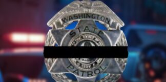 Patrullera estatal muere tras ser atropellada en la SR 509 en Tacoma