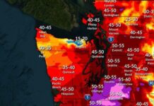 Alerta regional por vientos fuertes este 24 de diciembre en el oeste de Washington