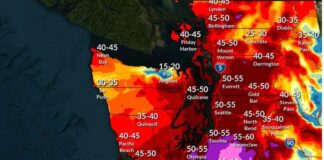 Alerta regional por vientos fuertes este 24 de diciembre en el oeste de Washington