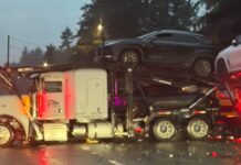 Chofer sin licencia comercial arrestado tras aparatoso accidente en la I-5 en Lacey Foto: Estado del camión transportador de automóviles luego del accidente - Cortesía del WSDOT