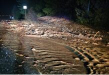 Inundaciones en Washington mientras un río atmosférico impacta el Puget Sound Foto: I-90 afectada por un deslizamiento de tierra causado por las lluvias en el estado de Washington - Cortesía del WSDOT